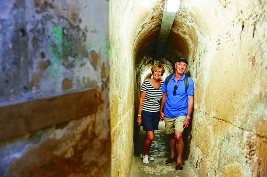 Rottnest Grand Island Package with Ferry, Tour & Light Lunch - Getting to Rottnest: ferries from Perth or Fremantle set the tone