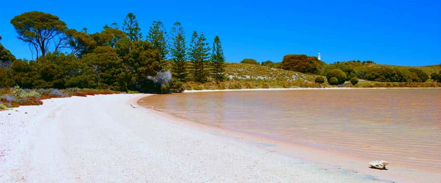 Rottnest Grand Island Package with Ferry, Tour & Light Lunch - The four-hour grand island tour: how the bus hits Rottnest’s main habitats