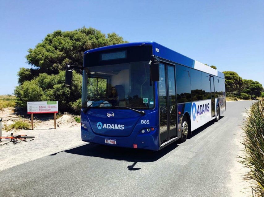 Rottnest Grand Island Package with Ferry, Tour & Light Lunch - Price and value: what you actually pay for at $138 per person