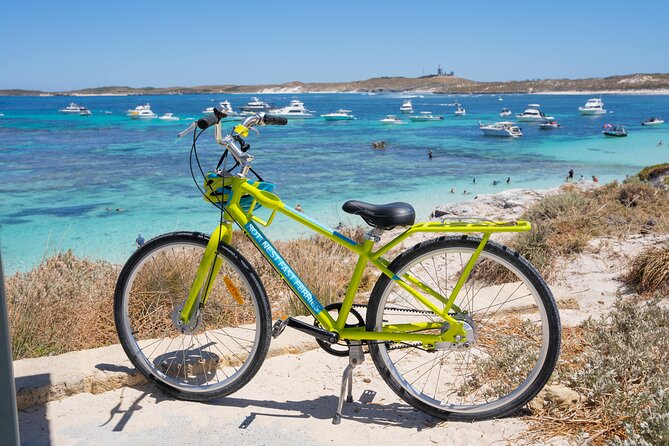 Rottnest Island Fast Ferry from Hillarys Boat Harbour Including Bike Hire - Key Highlights You’ll Care About