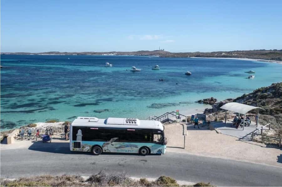 Rottnest Island Ferry and 1.75 Hr Bus Tour - Key takeaways before you go