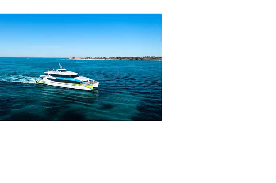 Rottnest Island Ferry and 1.75 Hr Bus Tour - Timing: why the 7.30AM ferry from Hillarys Boat Harbour is the whole game