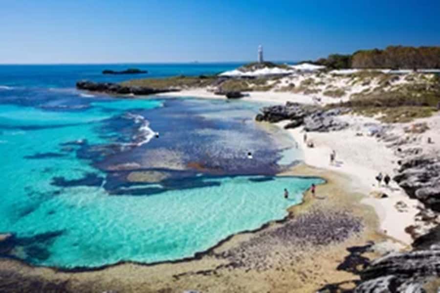 Rottnest Island Ferry and 1.75 Hr Bus Tour - Your afternoon on the island: swim, bike, snorkel, or just take your time