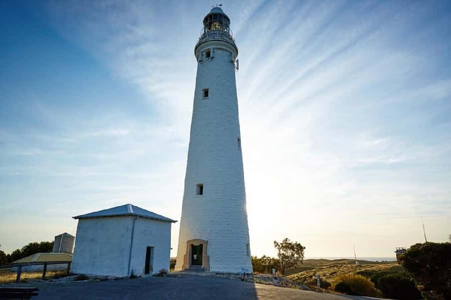 Rottnest Island Ferry and 1.75 Hr Bus Tour - Price and value: what $99 buys you, and what it doesn’t