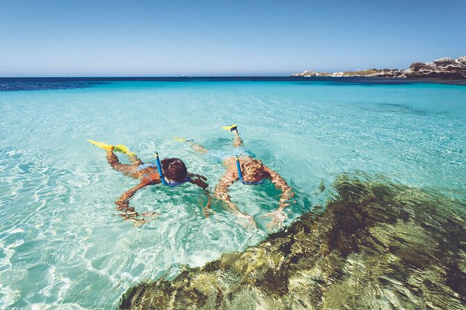 Rottnest Island Round-Trip Ferry from Perth - Key Points at a Glance