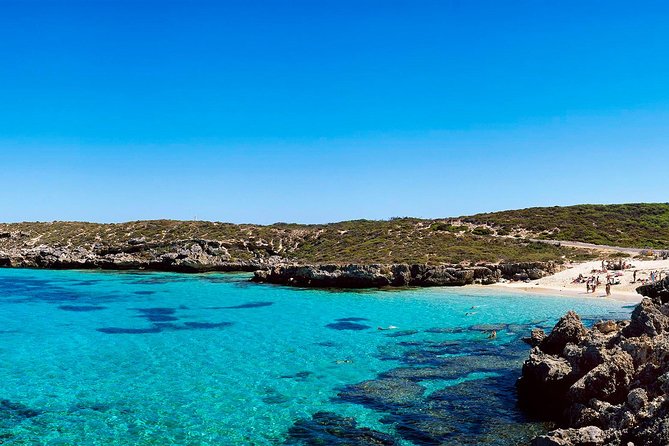 Rottnest Island Roundtrip Fast Ferry from Hillarys Boat Harbour - The Return Trip: Hitting the Jetty Before 4:10 PM