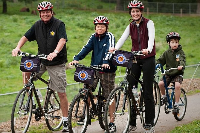 San Francisco Golden Gate To Sausalito Bike Tour - Palace of Fine Arts and Presidio Breaks: San Francisco’s Best Detours