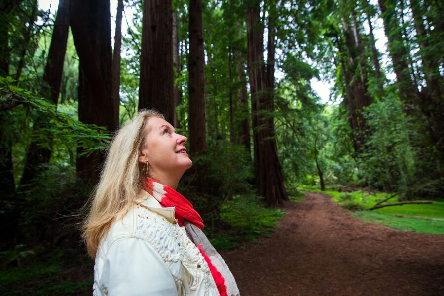 San Francisco: Morning Muir Woods & Sausalito Tour w/ Ferry - Should you book this Muir Woods and Sausalito ferry tour?
