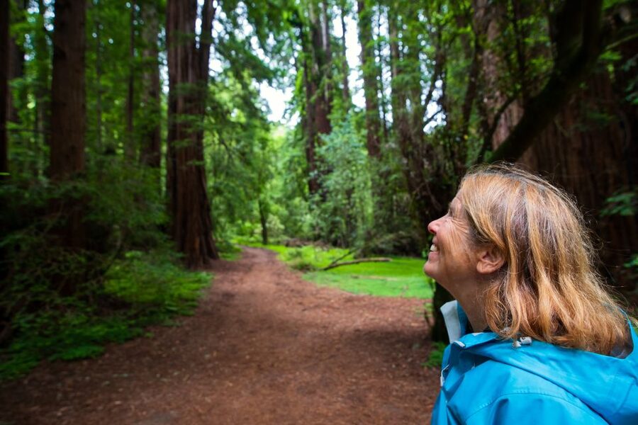 San Francisco: Morning Muir Woods & Sausalito Tour w/ Ferry - Price and value: what $104 buys (and what it doesn’t)