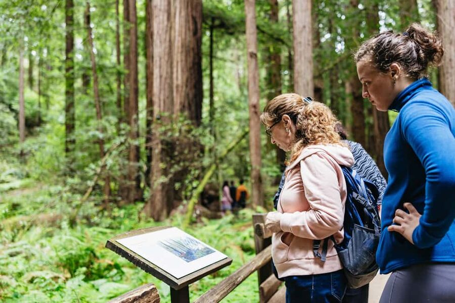 San Francisco: Muir Woods & Sausalito Tour with Ferry Option - The Golden Gate Bridge Ride: Photo Stops and Fog Reality