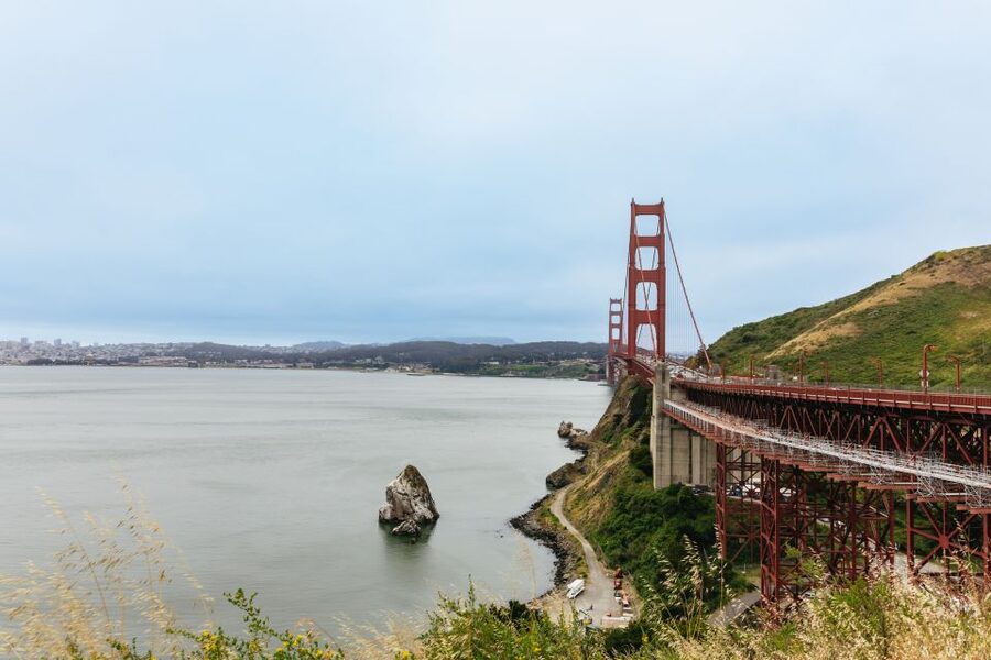 San Francisco: Muir Woods & Sausalito Tour with Ferry Option - Ferry Option Back to San Francisco: How to Time It for Views
