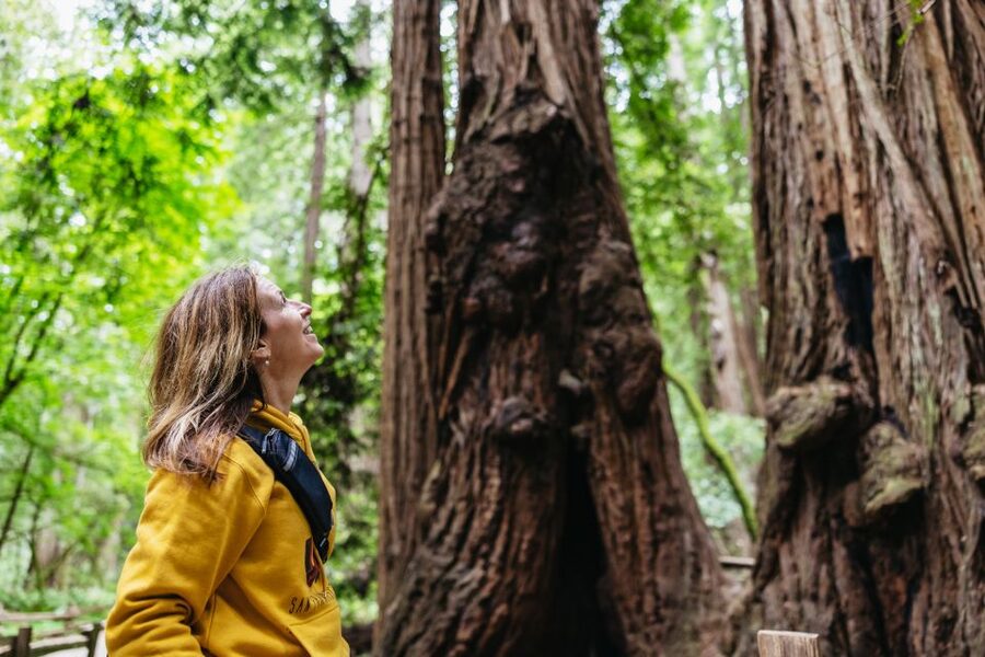San Francisco: Muir Woods & Sausalito Tour with Ferry Option - Muir Woods: Walking Under Towering Redwoods in a Guided Slot