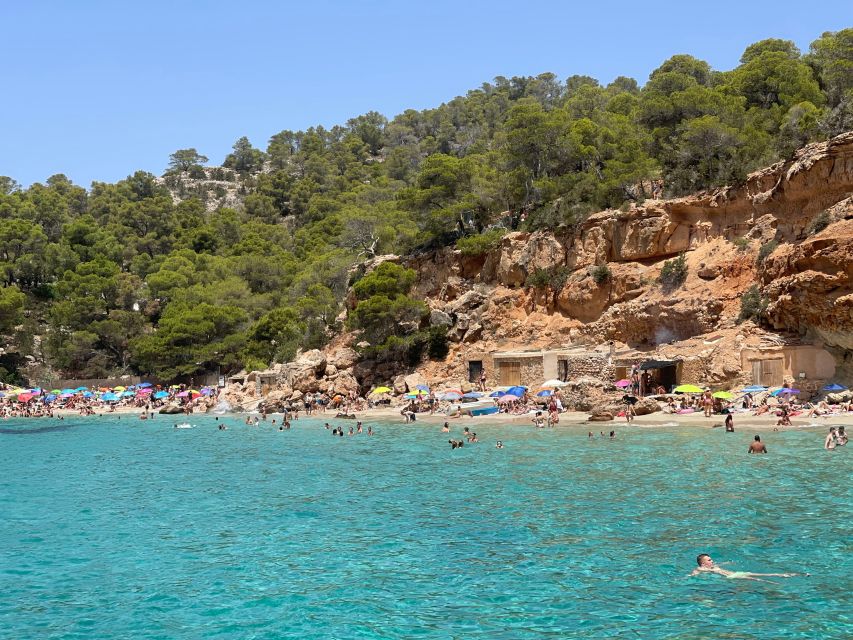 Sant Antoni: Round-Trip Ferry Transfer to Cala Salada Beach - Stop at Cala Salada: Pine-Tree Shade and Clear Water
