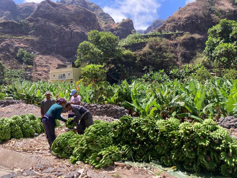Santo Antão Highlights: Day Trip by Car with Ferry from SV - Getting There: Mindelo Pickup and the Ferry to Porto Novo