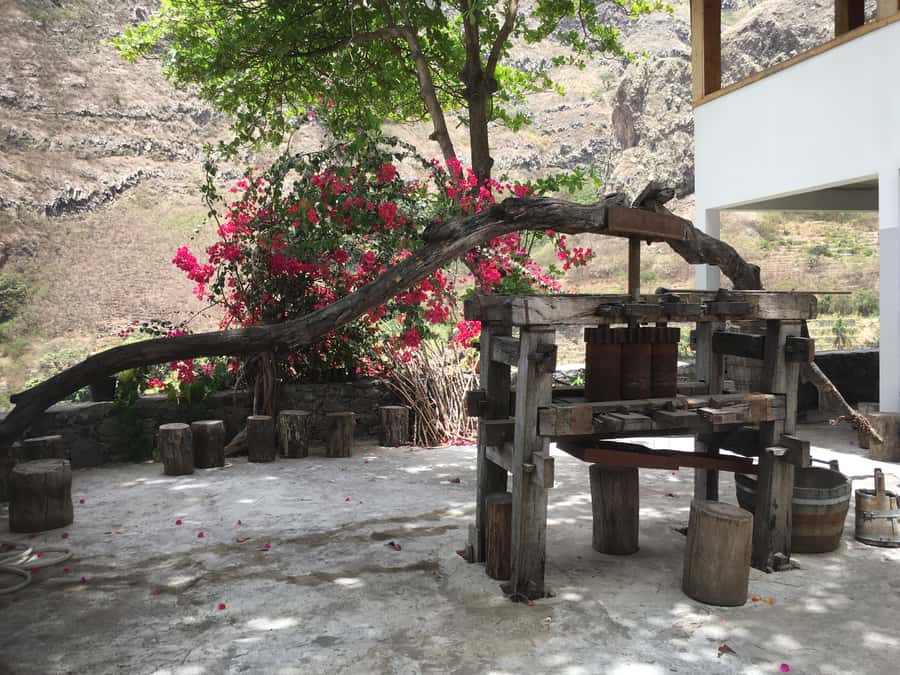 Santo Antão Highlights: Day Trip by Car with Ferry from SV - Who Should Book This Day Trip (and Who Should Skip It)