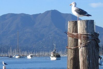 Sausalito Ferry from Pier 41, San Francisco - Price and what you actually get for $14.75