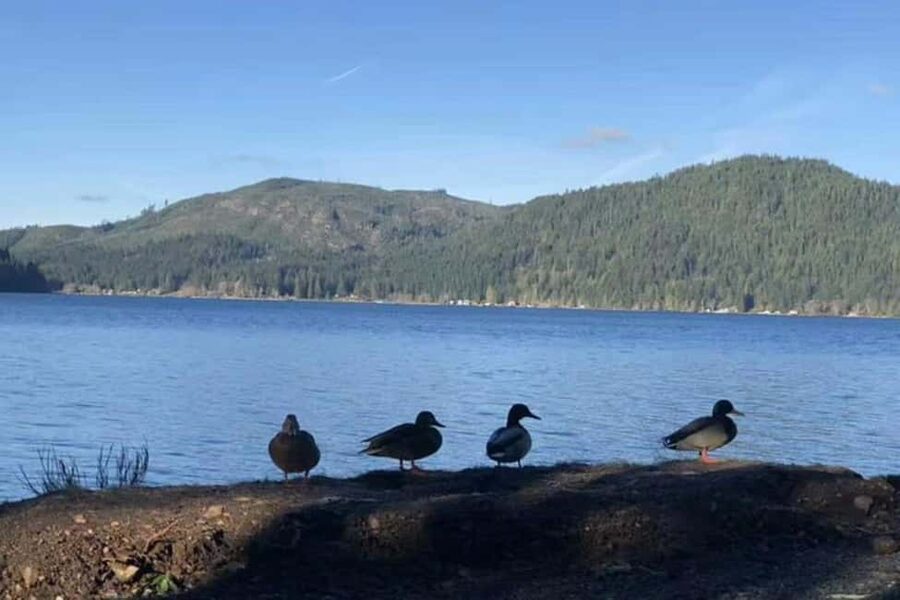 Seattle: Olympic National Park Day Tour with Scenic Ferries - Key points worth knowing before you go