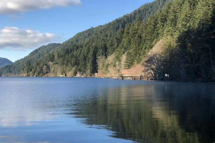 Seattle: Olympic National Park Day Tour with Scenic Ferries - When Hurricane Ridge can’t happen: your backup plan is built in