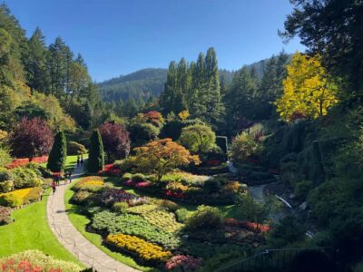 Seattle: Victoria, BC Round-Trip Ferry Tour - Five Hours in Victoria’s Inner Harbour: How to Spend It Without Stress