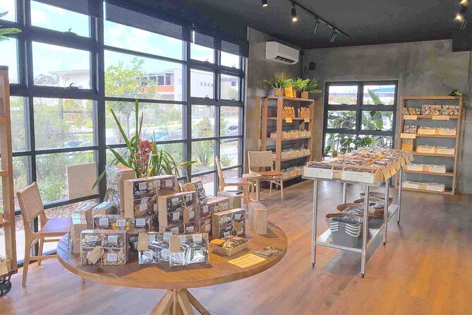 Secrets of Noosa Tour with Oceanview Lunch, Nature & Noosa River Ferry - Premium bus comfort: more than just transportation