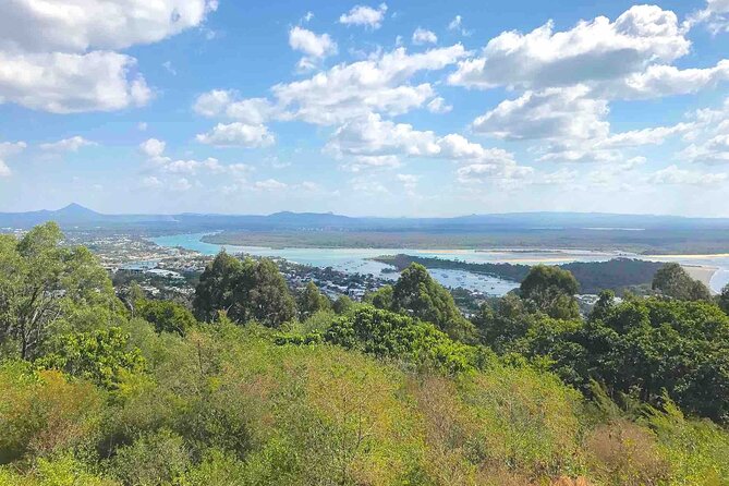 Secrets of Noosa Tour with Oceanview Lunch, Nature & Noosa River Ferry - Stop 3: Laguna Lookout for the big Noosa panorama
