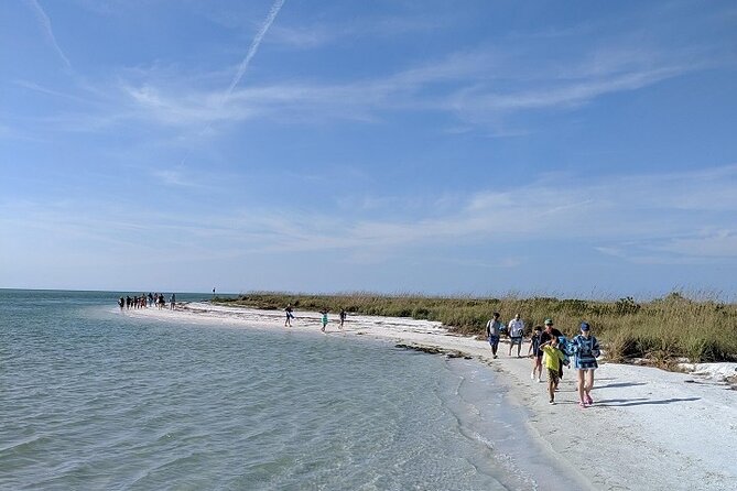 Shell Key Ferry from Ft. DeSoto Boat Ramp in Tierra Verde, FL - The 20-Minute Boat Ride: Wildlife Spotting on the Way Over