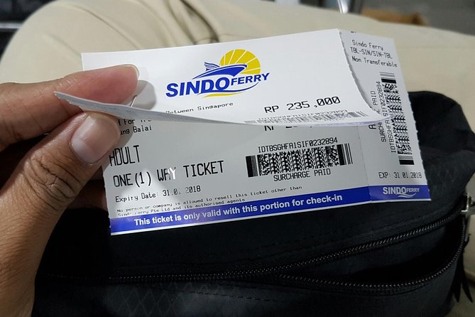 Singapore to Batam Day Tour (with Ferry Tickets & Spa Masage) - Timing: HarbourFront check-in and the ferry rhythm