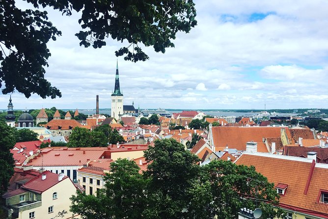 Tallinn Day Tour from Helsinki (Ferry Tickets+ Guiding+ Own Time) - Toompea Castle and Kohtuotsa viewpoint: getting oriented fast
