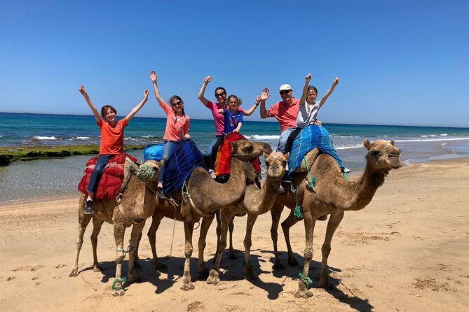 Tangier Private Tour from Tarifa with Express Ferry - Tangier Casbah: castles on the hill and Dar el Makhzen gardens