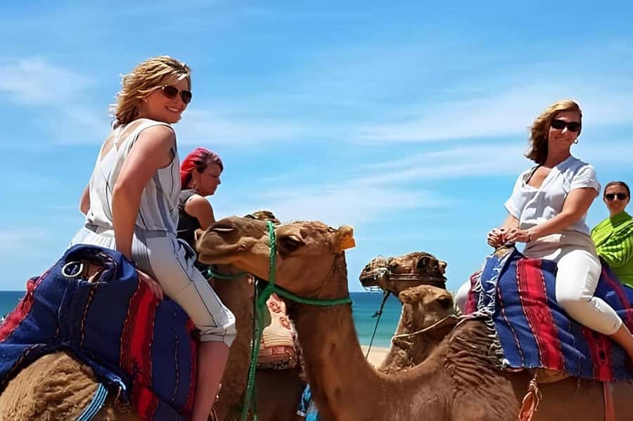Tarifa/Algeciras: Tangier Private Day Tour with Ferry Ticket - How the full day actually feels: pacing, flexibility, and time for shopping