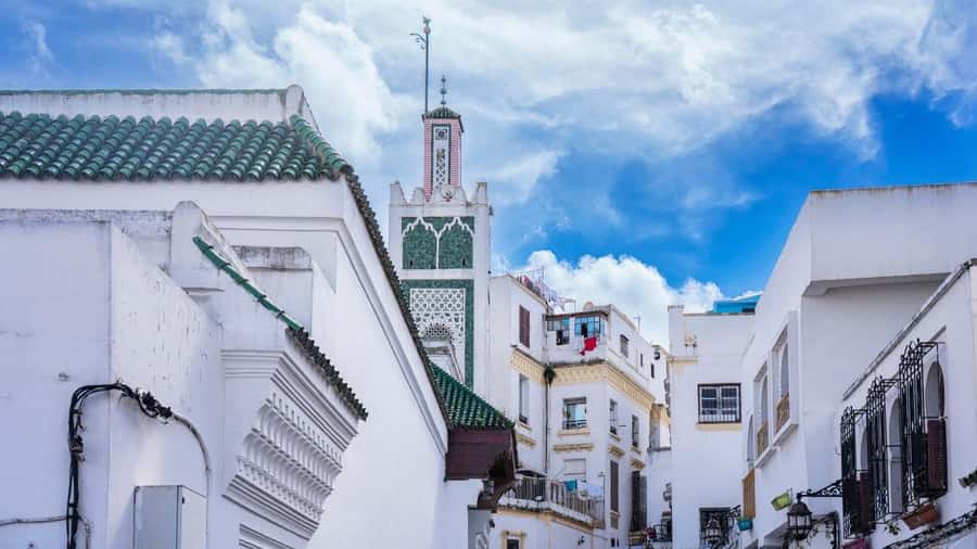 Tarifa: Day trip to Tangier by ferry with exclusive VIP service - Camel Ride and the Real-World Version of That Moment