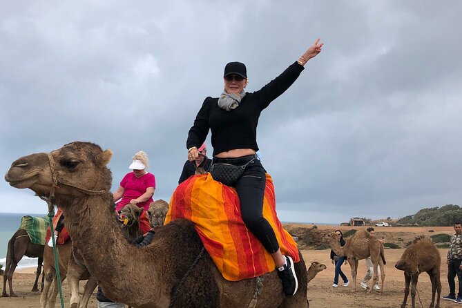 Tarifa to Tangier Tour with ferry ticket , lunch & camel ride - Key highlights that matter before you book