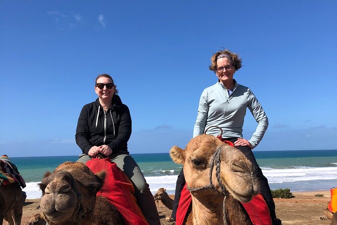 Tarifa to Tangier Tour with ferry ticket , lunch & camel ride - Tangier’s old Medina: souks, Petit Socco, and street-level Tangier