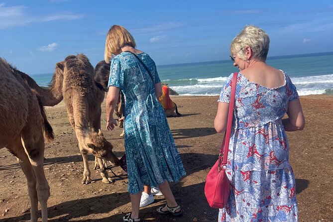 Tarifa to Tangier Tour with ferry ticket , lunch & camel ride - Kasbah and Dar el Makhzen: the high ground above the fishing port