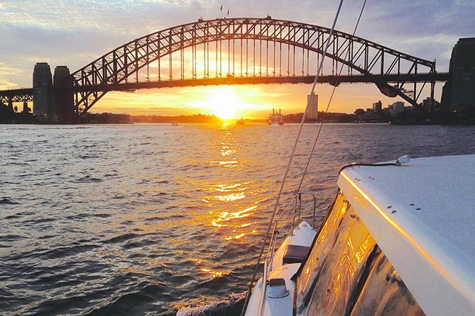 Taronga Zoo Entry & Return Ferry - Sydney Harbour - Don’t miss the shows: Seal Theatre and the free-flight bird show