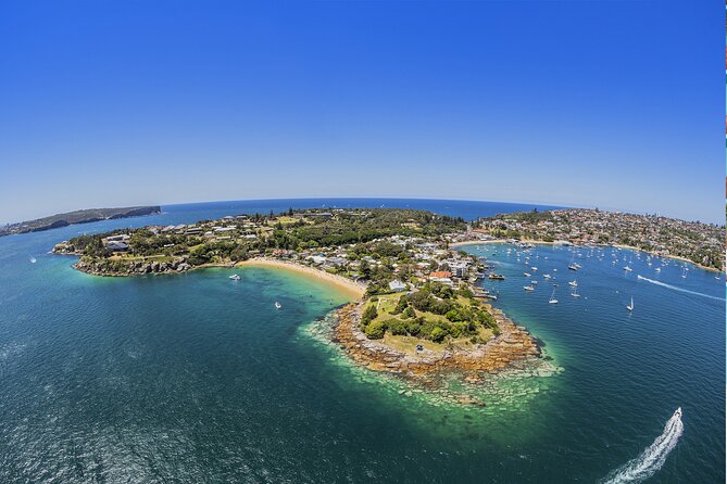 Taronga Zoo + Ferry Return Ticket - Taronga Zoo: 4,000+ Animals with Real-Time Sydney Views