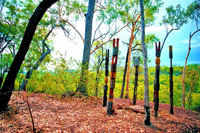 Tiwi Islands Cultural Experience from Darwin Including Ferry - From Cullen Bay to Bathurst Island: how the ferry sets the pace