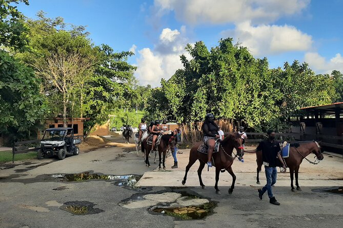 Transfer from San Juan to Ceiba Ferry or Ceiba to San Juan - What to do before you go: the small choices that prevent big stress