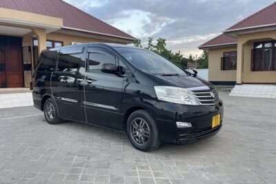 Transport Dar es Salaam Airport Port, Ferry or Train to Hotel - Your driver in Dar es Salaam: experience and local route sense