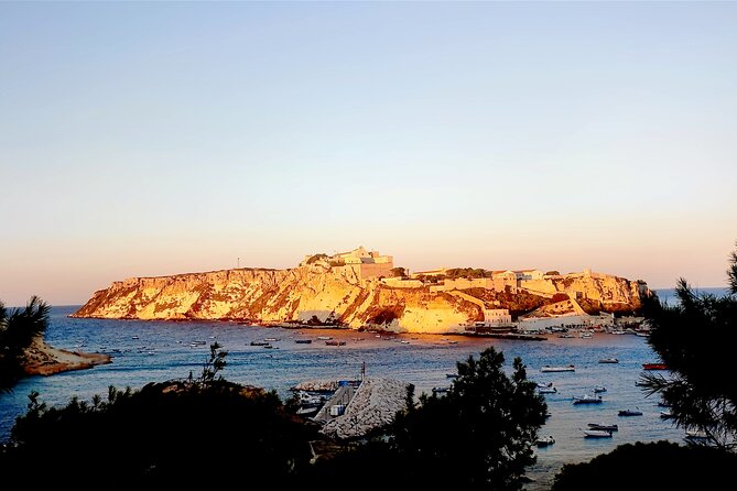 Tremiti Islands from Rodi Garganico: ferry and boat tour - Price and value: does $94.63 make sense?