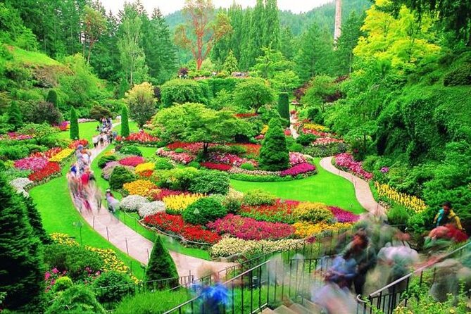 Victoria: Butchart, Mile 0, Harbor 1-Day Tour from Vancouver - The Ferry Ride Through the Gulf Islands: Wildlife, Timing, and Comfort