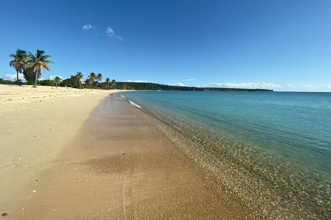 Vieques Bio Bay Tour and Beach Day Trip from San Juan by Ferry - Esperanza Malecon Dinner Time: Good Views and Flexibility