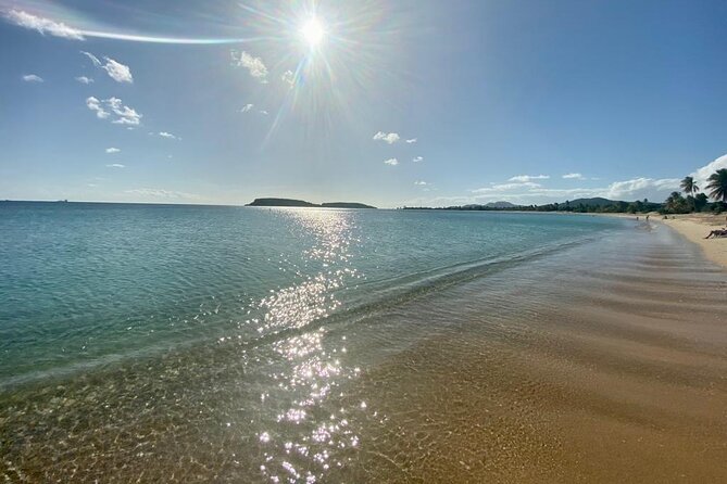 Vieques Bio Bay Tour and Beach Day Trip from San Juan by Ferry - Price and Value: Why $230 Can Feel Reasonable
