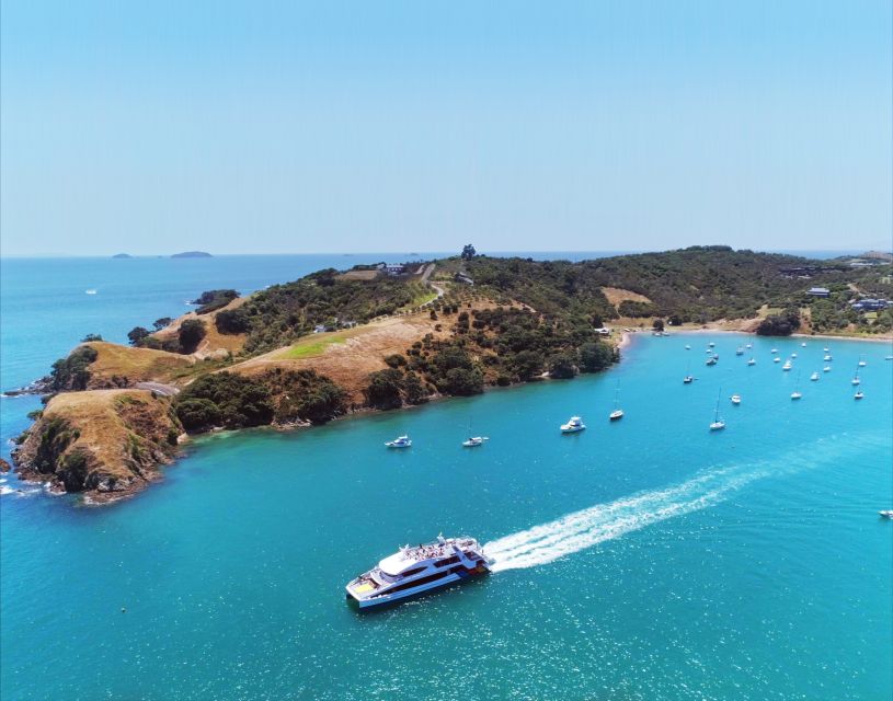 Waiheke Island: Ferry & Hop-On Hop-Off Explorer Bus Tickets - Beaches and Bays: Oneroa and Onetangi for Sea Time