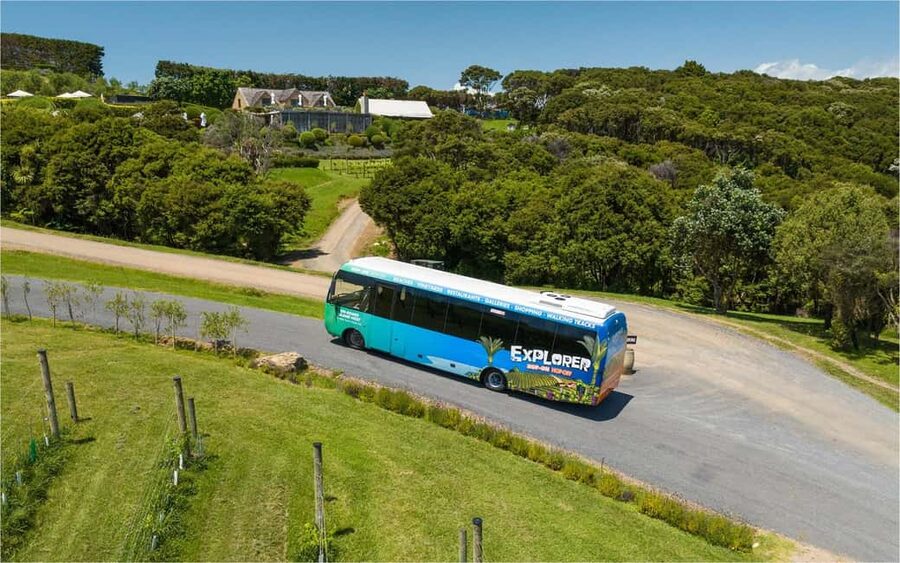 Waiheke Island: Ferry & Hop-On Hop-Off Explorer Bus Tickets - Price and Value: Is $59 Worth It for a One-Day Waiheke Plan?
